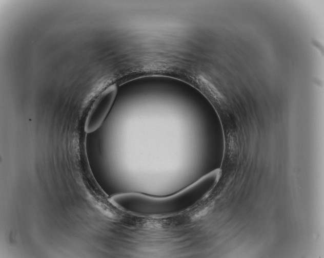 X0000094920684200711291313