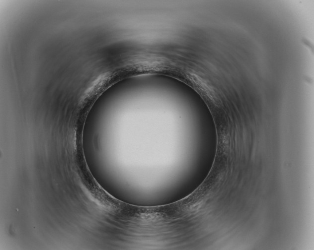 X0000094920686200711291313