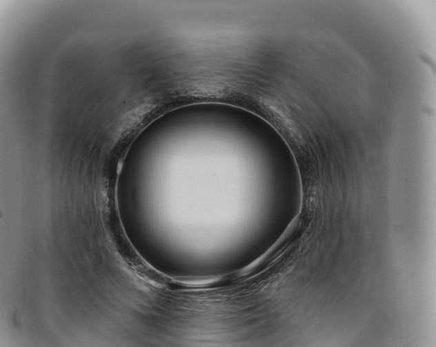 X0000094920688200711291313