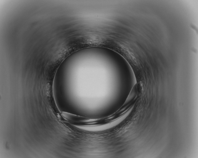 X0000094920689200711291312