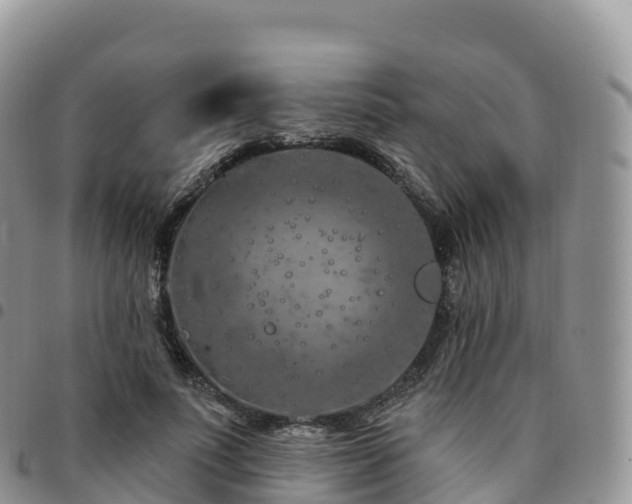 X0000094920691200711291312