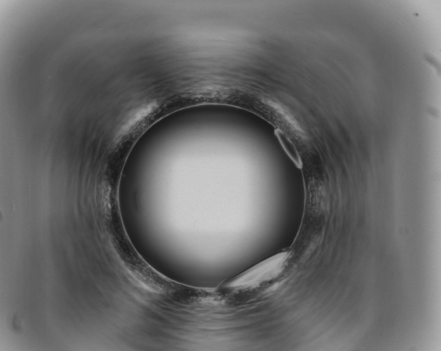 X0000094920692200711291312