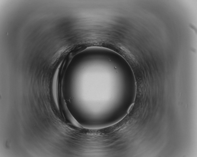 X0000094920693200711291312
