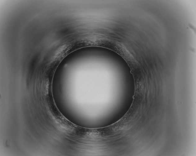 X0000094920694200711291312