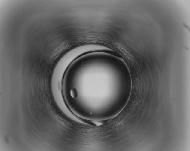 X0000094920696200711291312