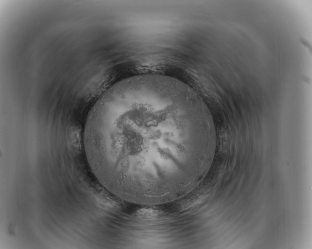X0000094920699200711291312
