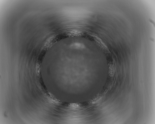 X0000094920701200711291312
