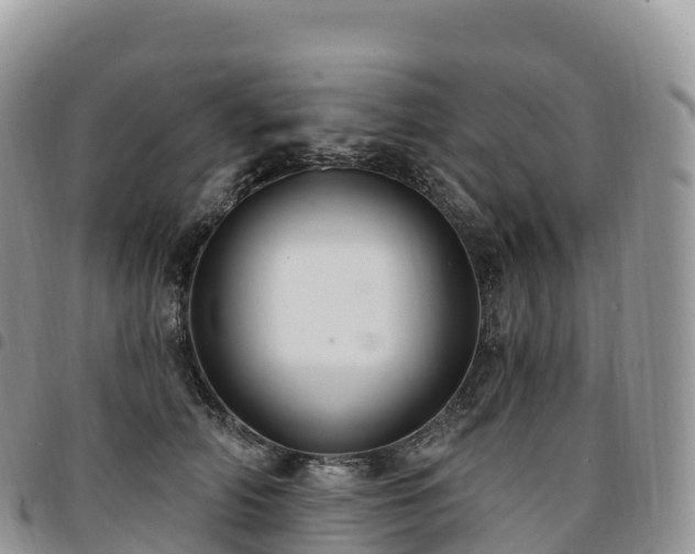 X0000094920706200711291312