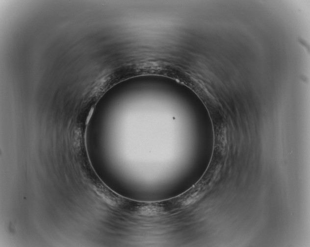 X0000094920708200711291312