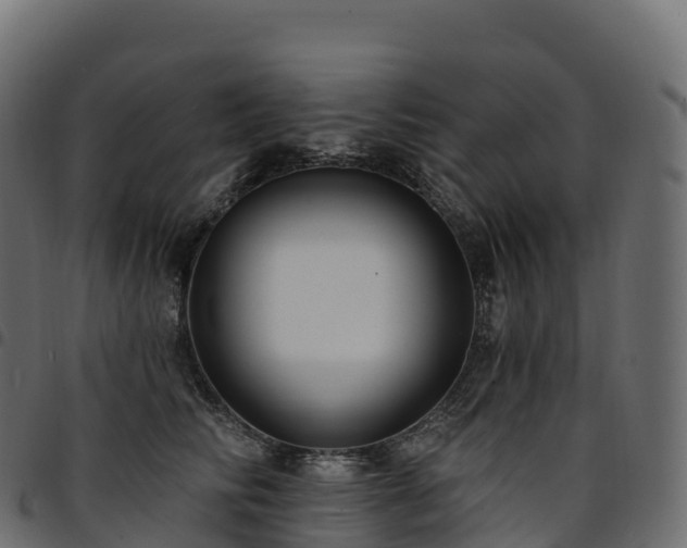X0000094920710200711291312