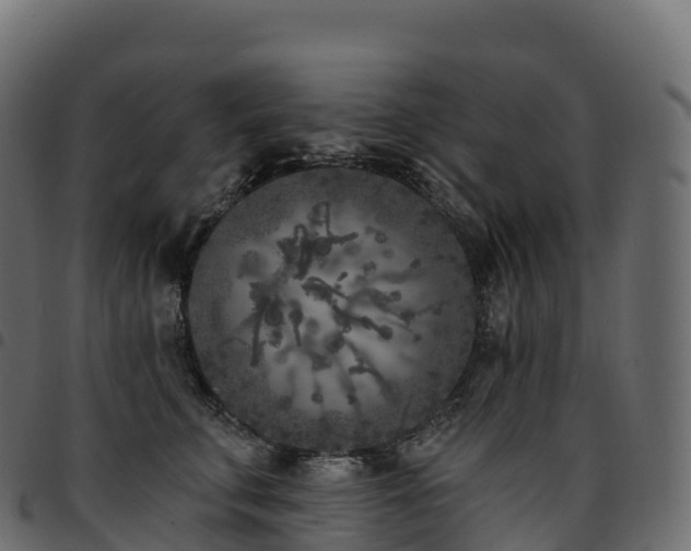 X0000094920711200711291312