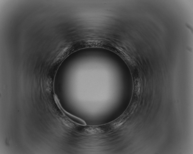 X0000094920712200711291312