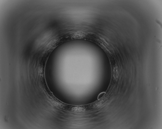 X0000094920714200711291312
