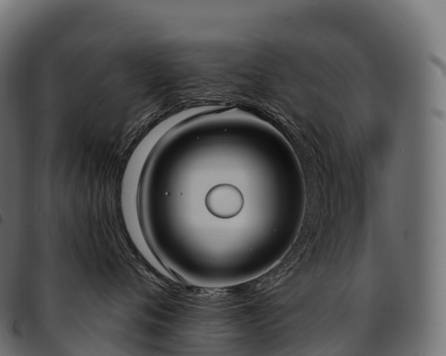 X0000094920720200711291312