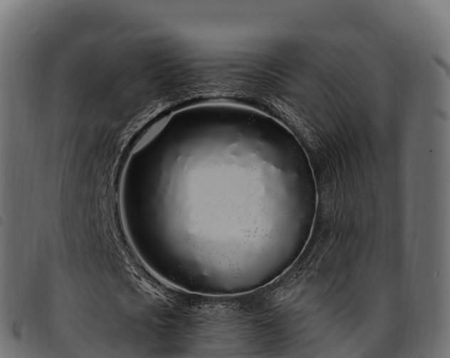 X0000094920721200711291311