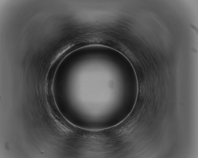 X0000094920722200711291311