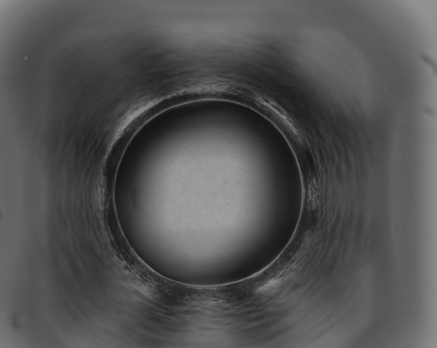 X0000094920724200711291311