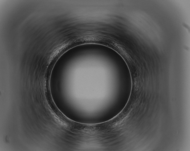 X0000094920725200711291311