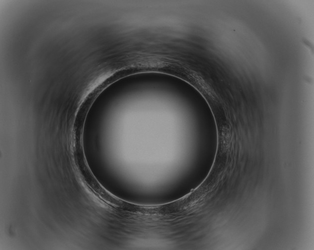X0000094920726200711291311