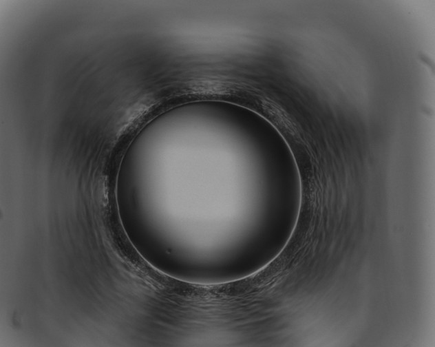 X0000094920731200711291312