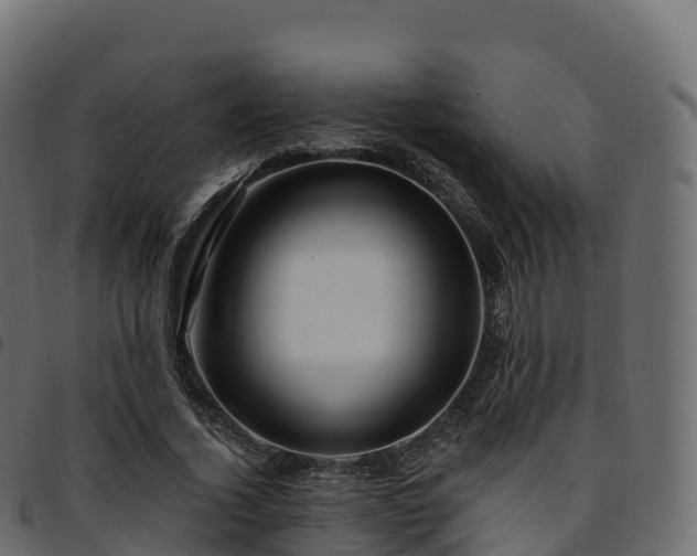 X0000094920732200711291312
