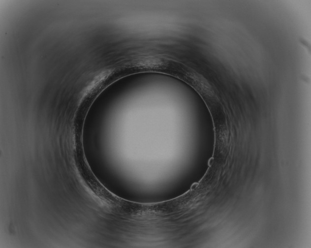 X0000094920734200711291312