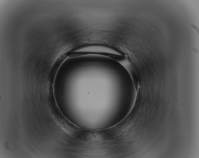 X0000094920735200711291312