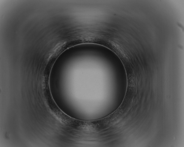 X0000094920738200711291312