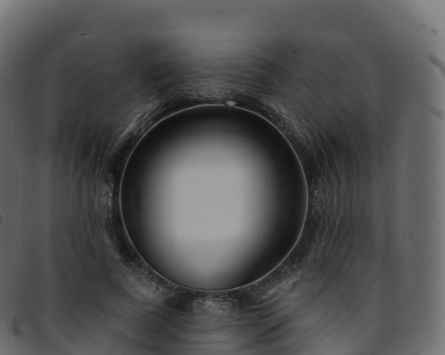 X0000094920739200711291312