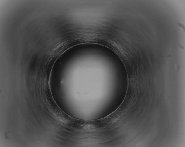 X0000094920741200711291312