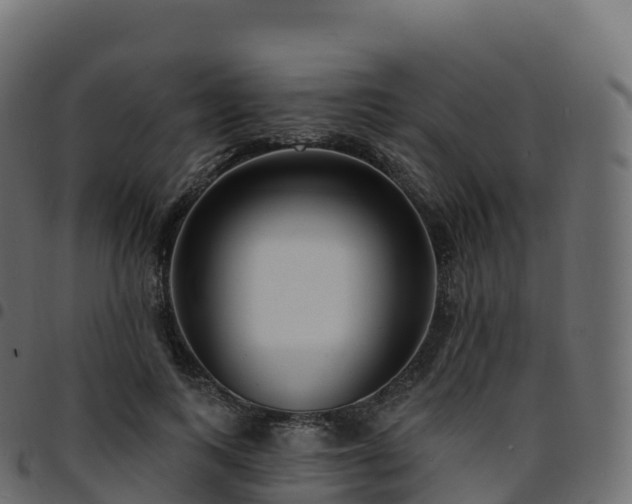 X0000094920743200711291312