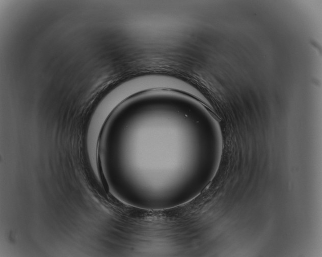 X0000094920744200711291312