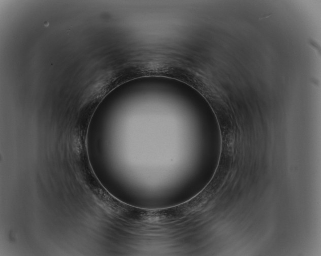 X0000094920746200711291312