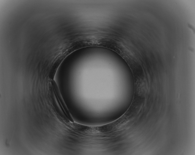 X0000094920747200711291312