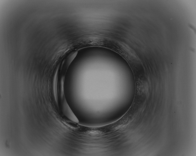 X0000094920748200711291312