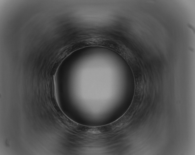 X0000094920749200711291312