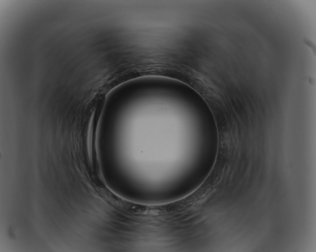 X0000094920751200711291312