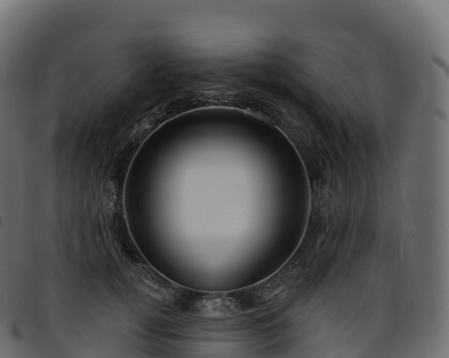 X0000094920752200711291312