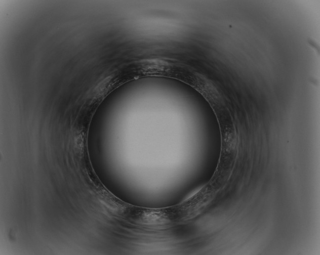 X0000094920753200711291312