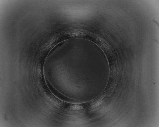 X0000094920754200711291312