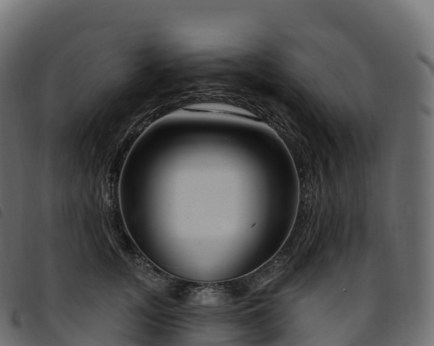X0000094920755200711291312