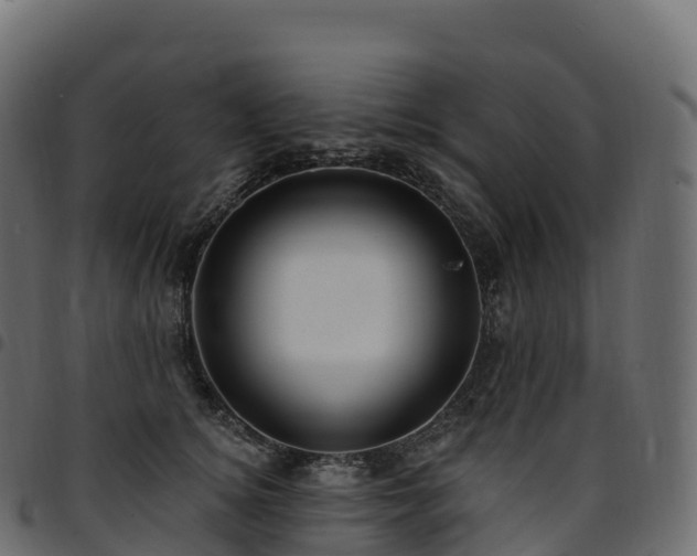 X0000094920756200711291312