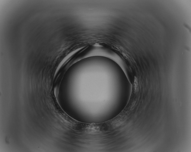 X0000094920760200711291312