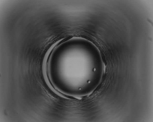 X0000094920764200711291312