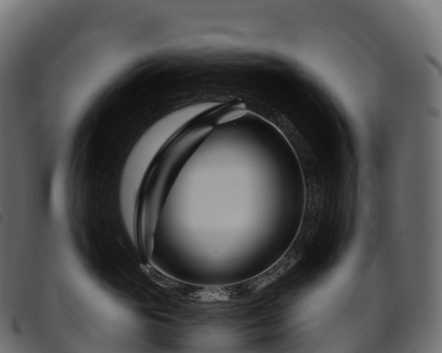 X0000094920765200711291312