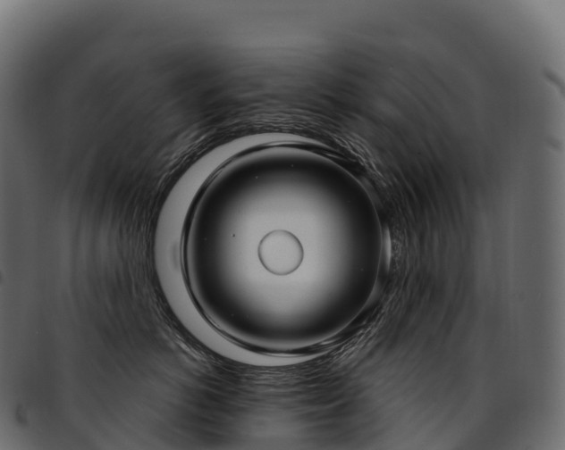 X0000094920766200711291312