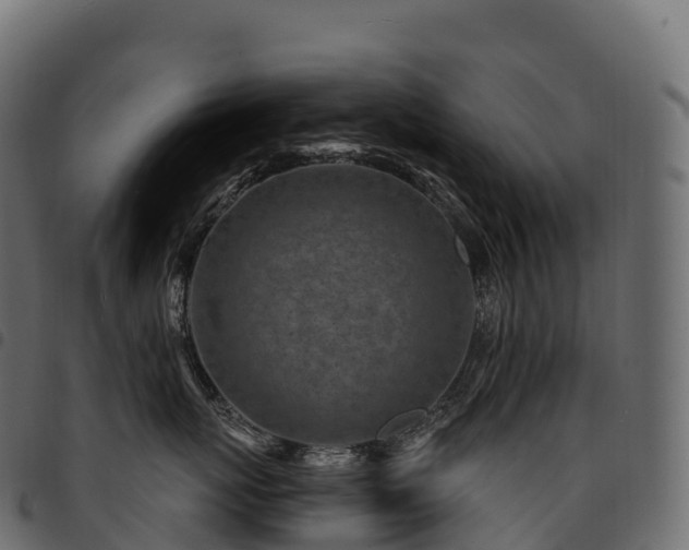 X0000094920767200711291312
