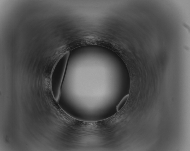 X0000094920768200711291312