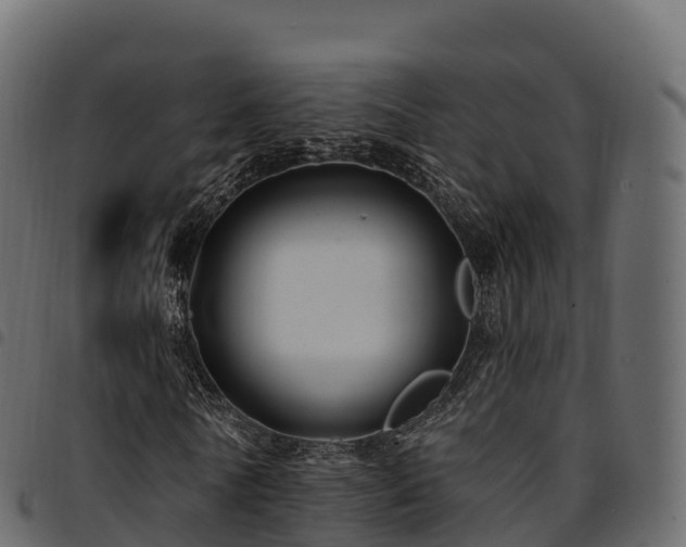 X0000094920770200711291311