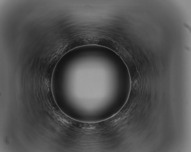 X0000094920772200711291311